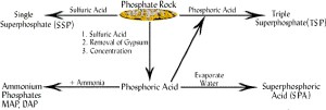 phosphate-fertilizers-process1